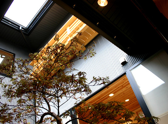 喜（樹）の家_梶浦環境建築設計事務所
